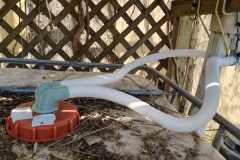 Dual hose adapter